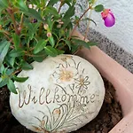 In Gattererberg Near Slopes Апартаменты *